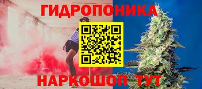 стаф Будённовск