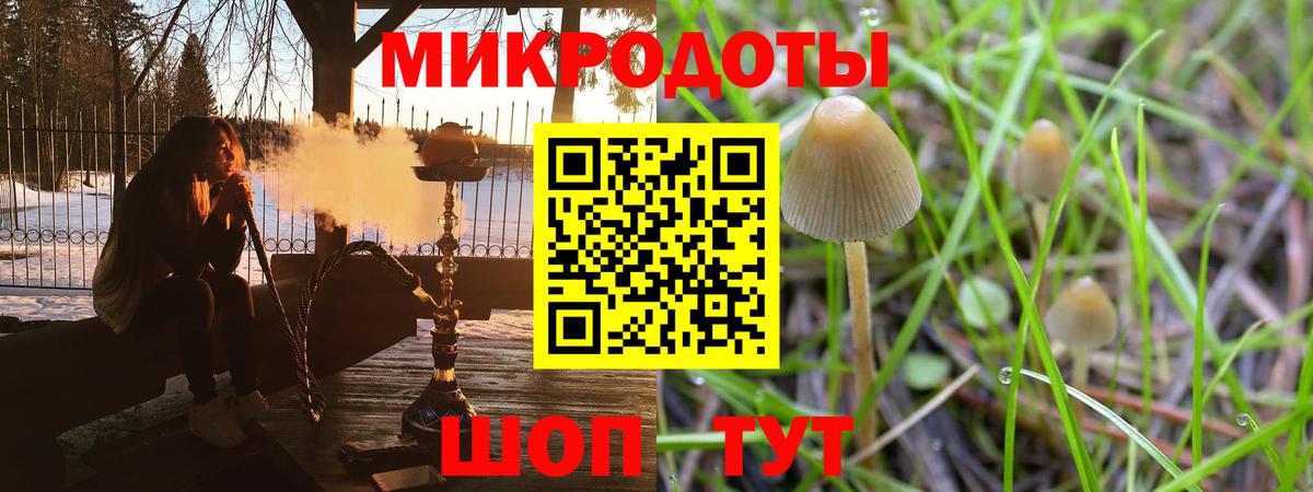 Галлюциногенные грибы MAGIC MUSHROOMS  Вход с VPN  как найти закладки  Псилоцибиновые грибы Psilocybine cubensis  Мурманск 